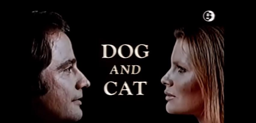 Dog & Cat Theme 
