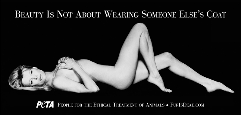 Peta 1993